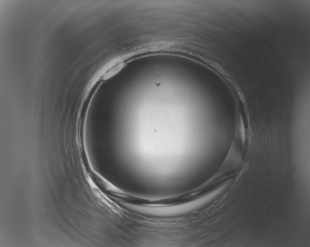 X0000085291342200703161440