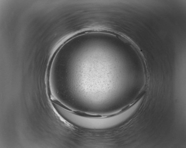 X0000085291343200703161440