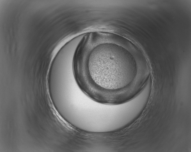 X0000085291344200703161440