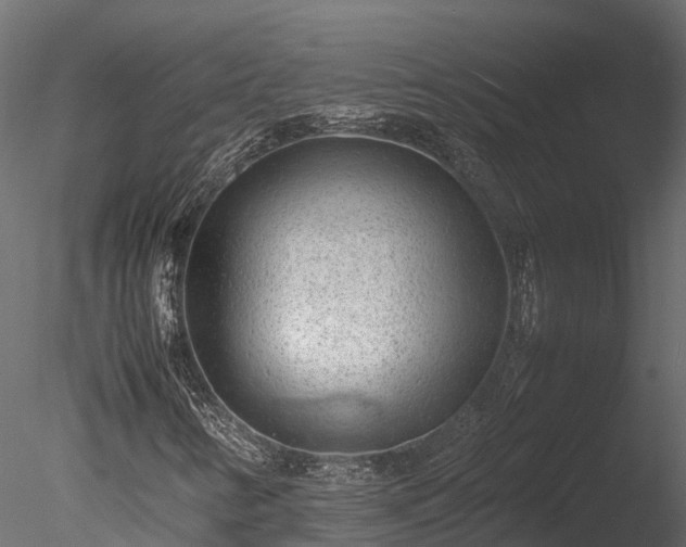 X0000085291346200703161439