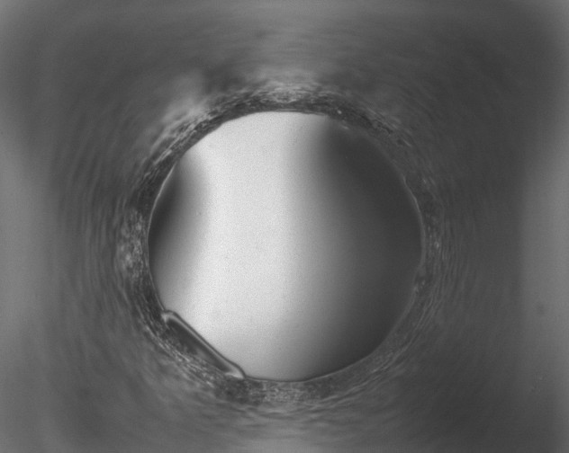 X0000085291349200703161439