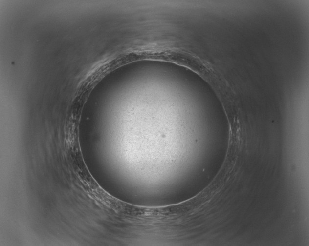 X0000085291350200703161439