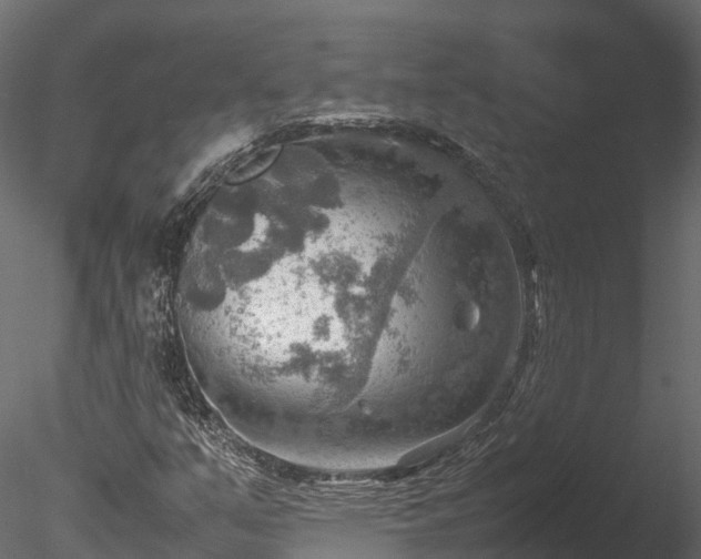 X0000085291351200703161439