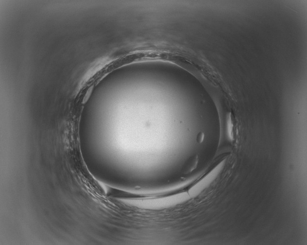 X0000085291352200703161439