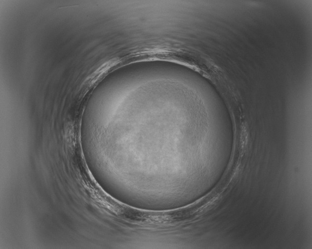 X0000085291353200703161439