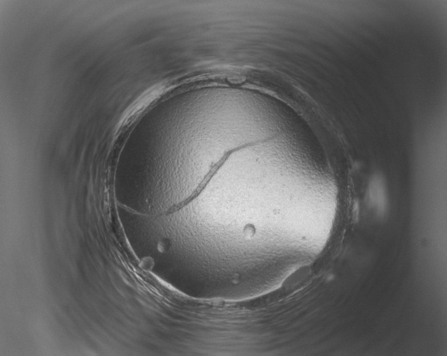 X0000085291354200703161439