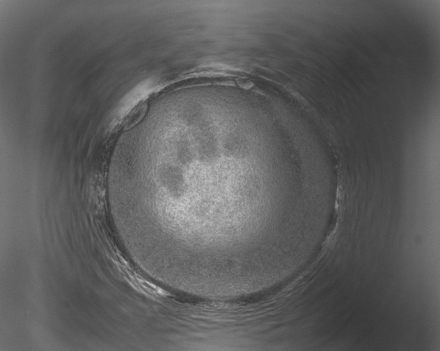 X0000085291355200703161439