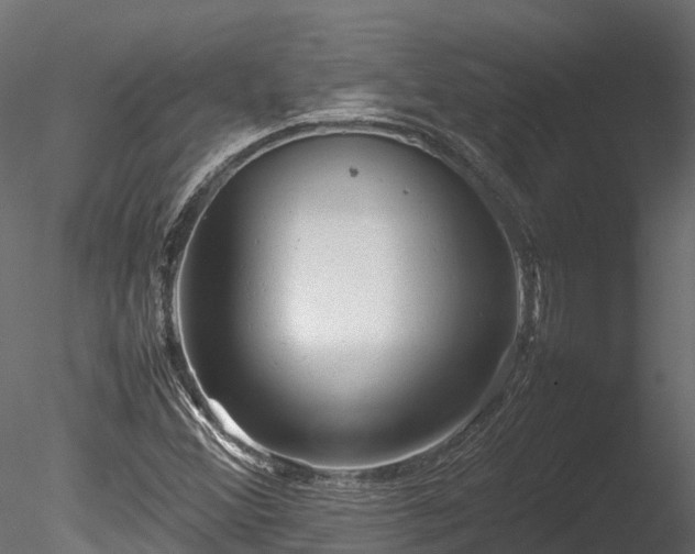 X0000085291356200703161439