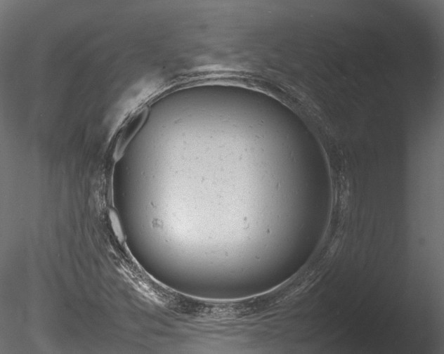 X0000085291357200703161439