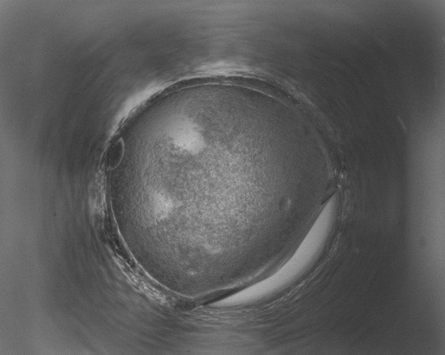 X0000085291358200703161439