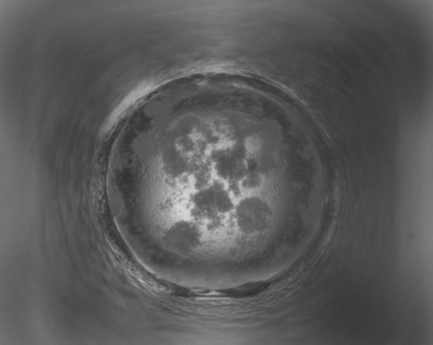 X0000085291359200703161439