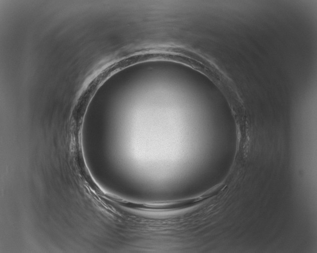 X0000085291360200703161439