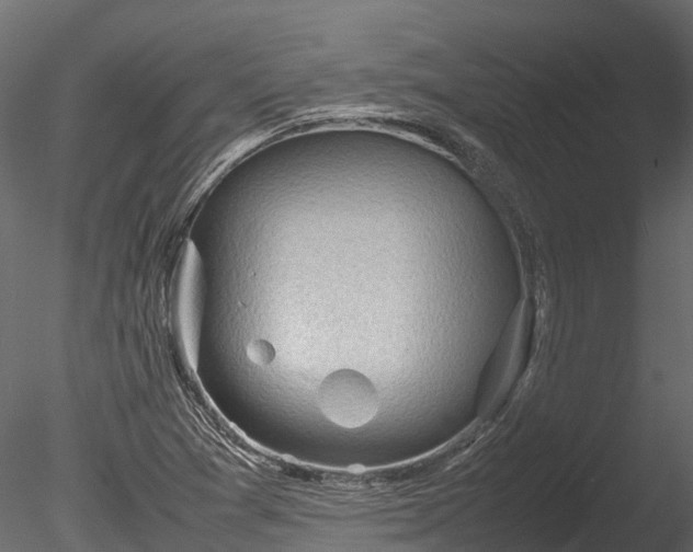 X0000085291361200703161439