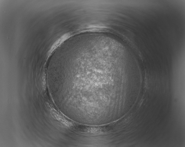 X0000085291362200703161439