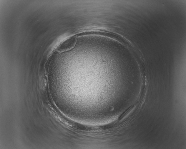 X0000085291363200703161439