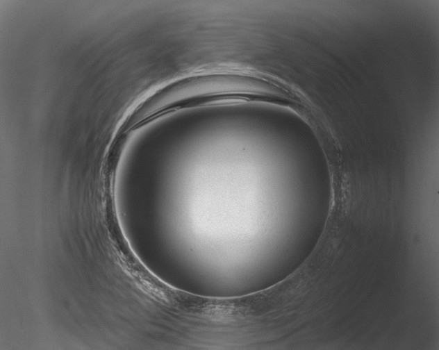 X0000085291364200703161439