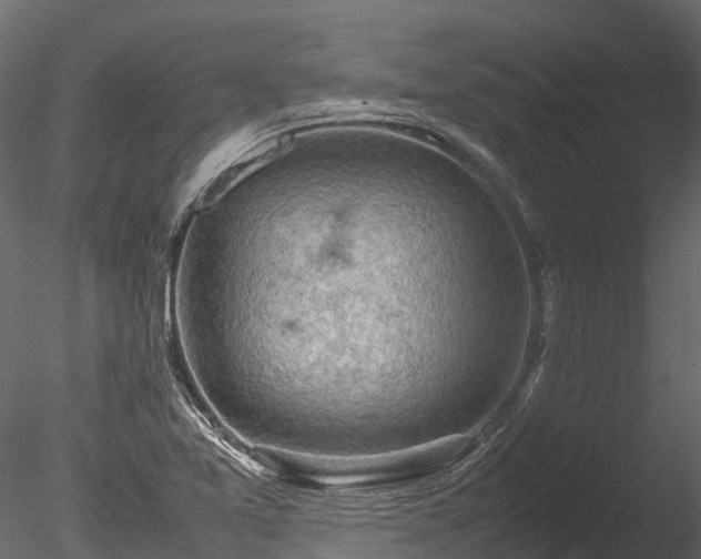 X0000085291365200703161439