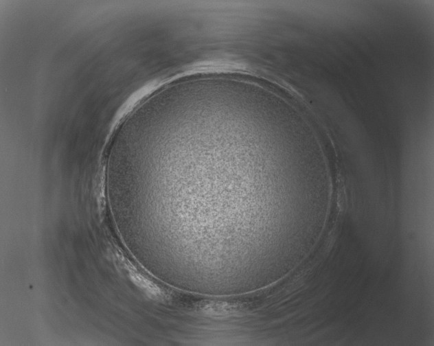 X0000085291366200703161439