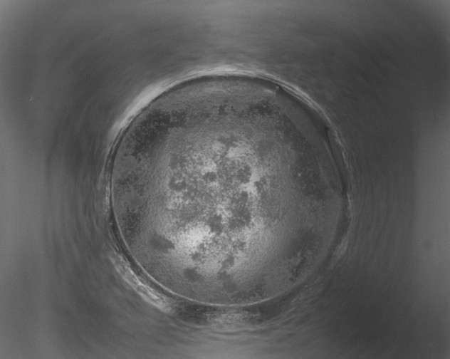 X0000085291367200703161439