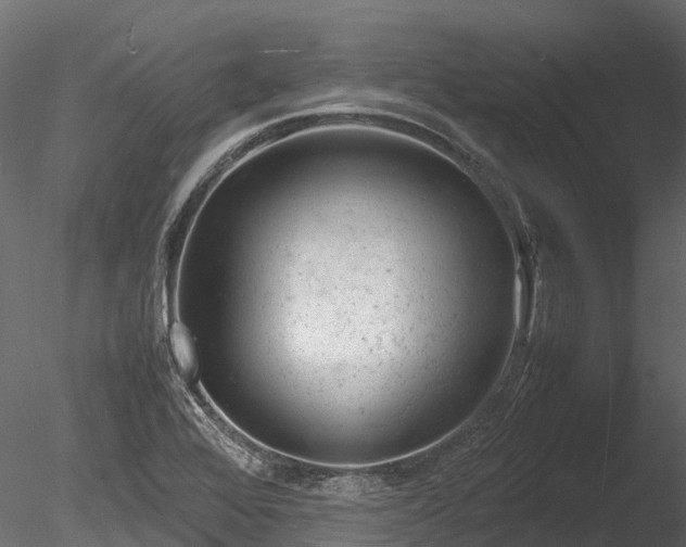 X0000085291368200703161439