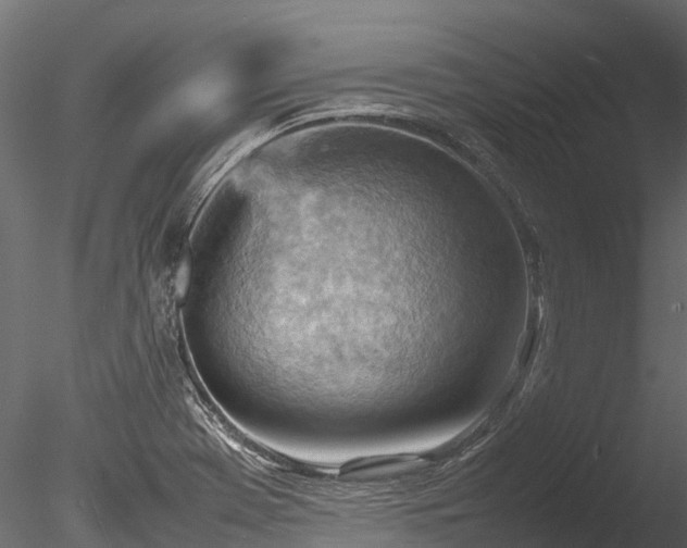 X0000085291369200703161439