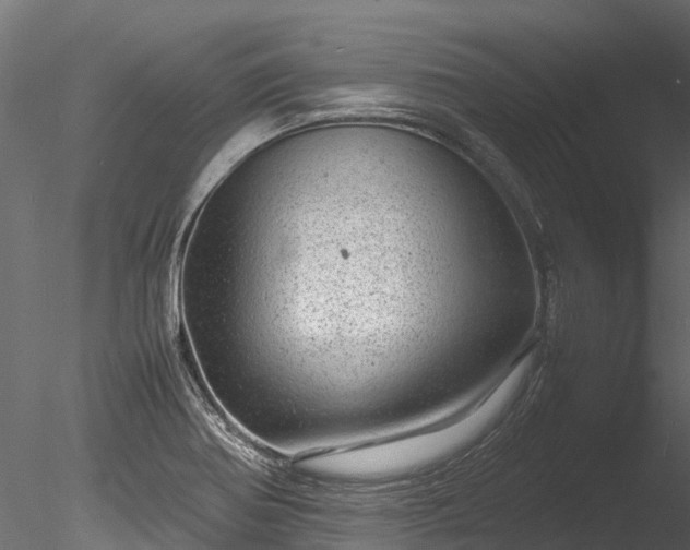 X0000085291370200703161439