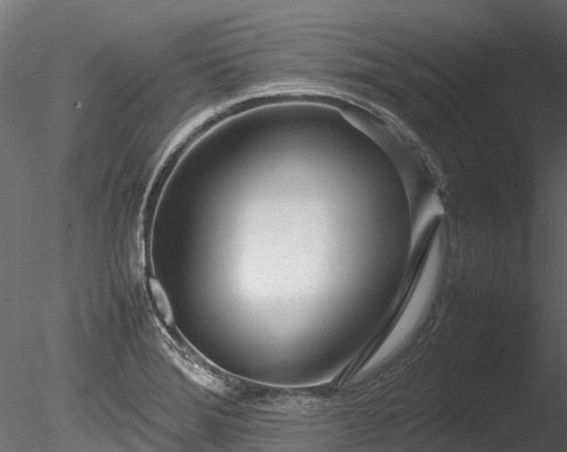 X0000085291372200703161439