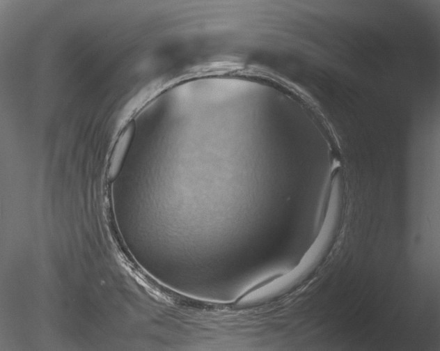 X0000085291373200703161439