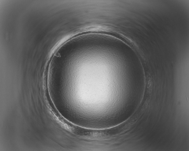 X0000085291375200703161438