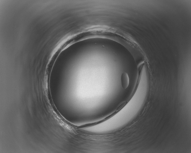 X0000085291376200703161438