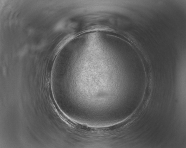 X0000085291377200703161438