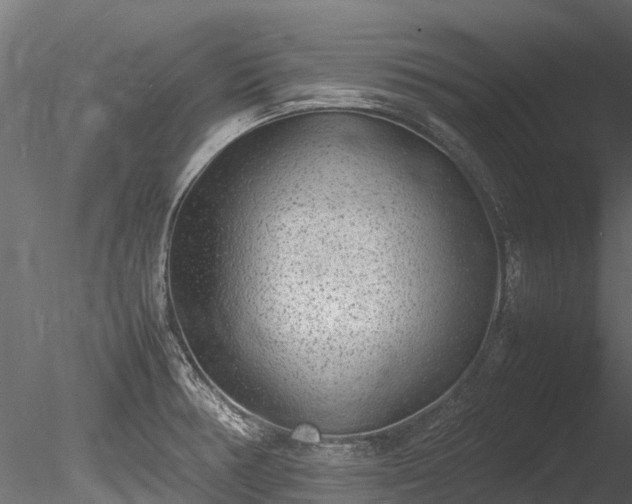 X0000085291378200703161438