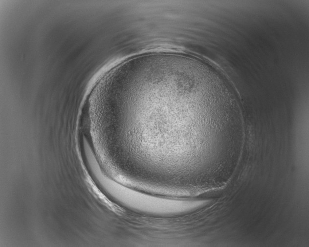 X0000085291379200703161438