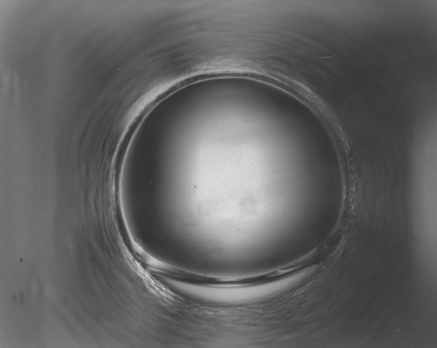 X0000085291380200703161438