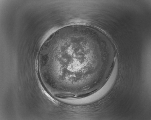 X0000085291383200703161438