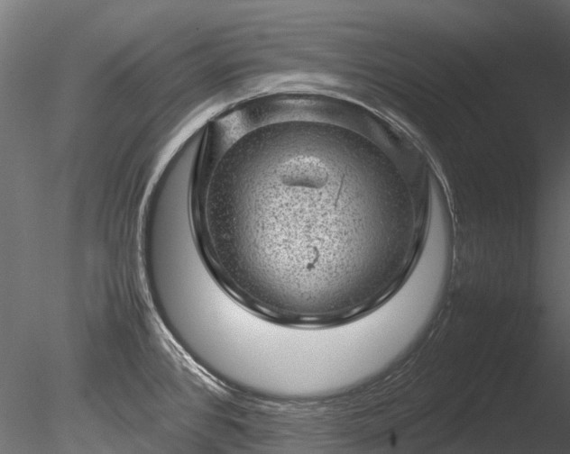 X0000085291384200703161438