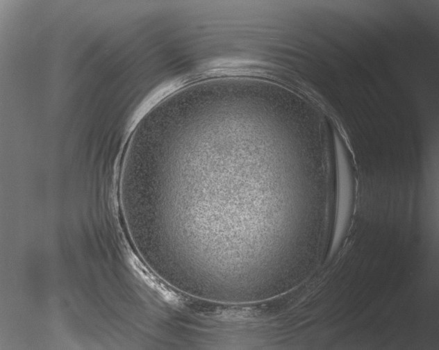 X0000085291386200703161438