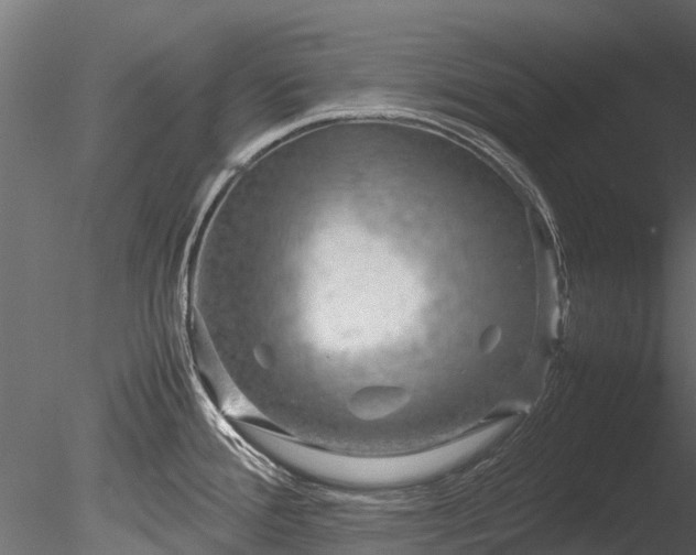 X0000085291388200703161438