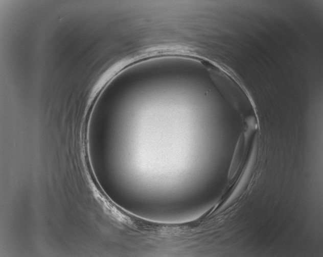 X0000085291389200703161438