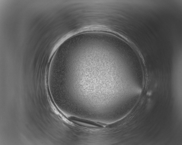 X0000085291390200703161438