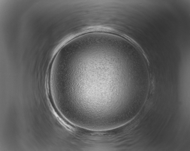 X0000085291391200703161438