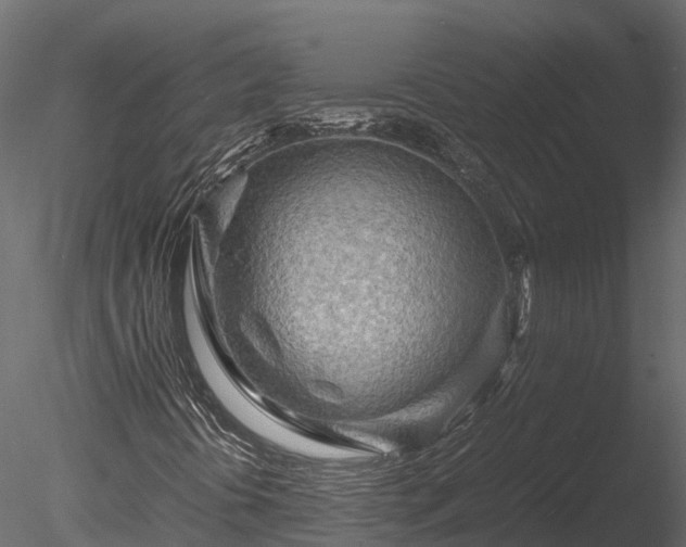 X0000085291394200703161437