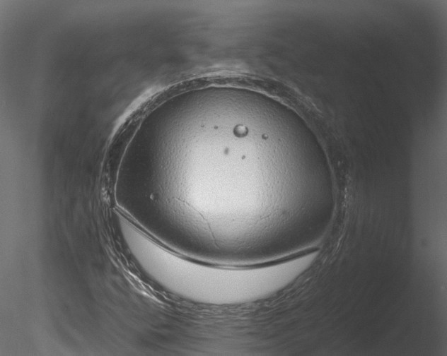 X0000085291400200703161437