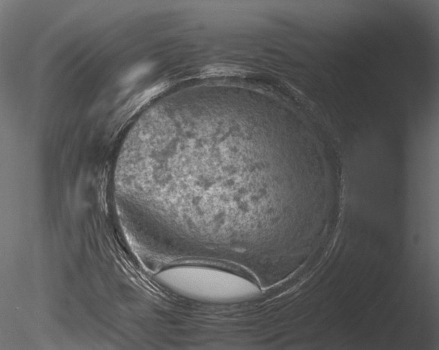 X0000085291401200703161438