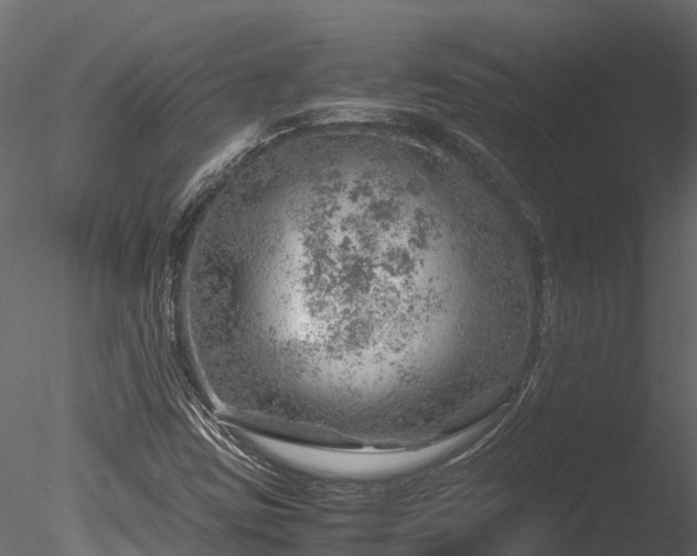 X0000085291403200703161438