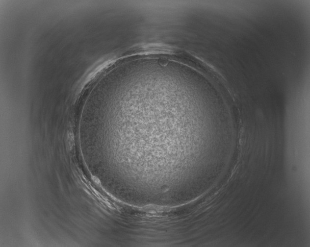 X0000085291407200703161438