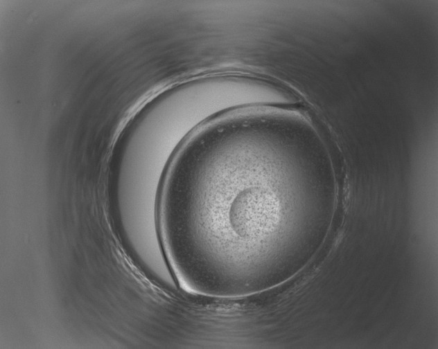 X0000085291410200703161438