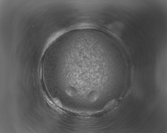 X0000085291413200703161438