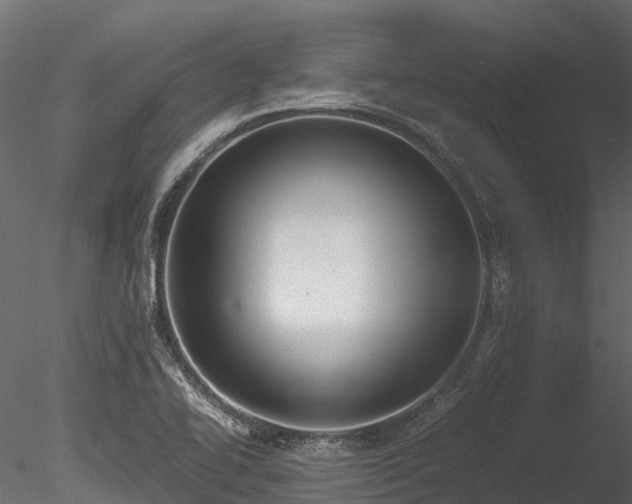 X0000085291414200703161438