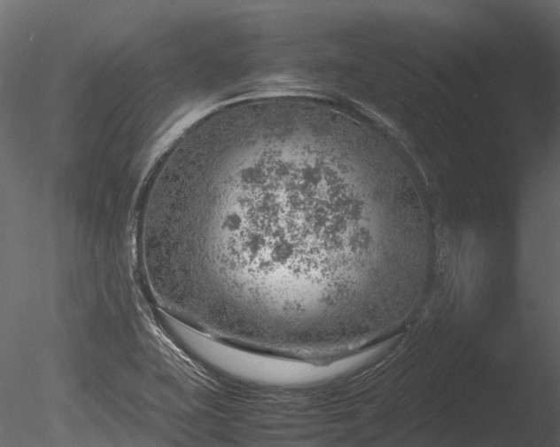 X0000085291415200703161438